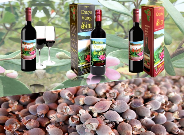 Đặc sản Phú Quốc mua về làm quà